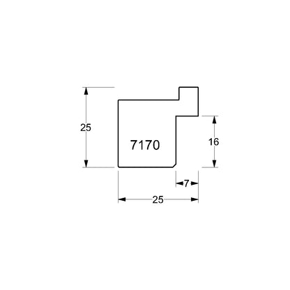 7170-01 Bilderrahmen
